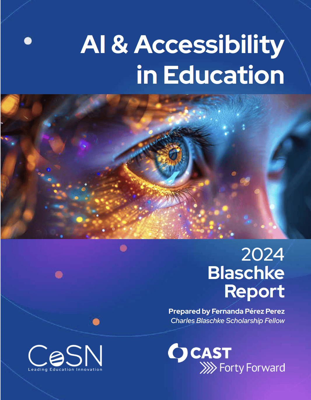 blaschkereport2024cover